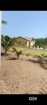 Navsari thi 9 km per pharm house