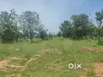 Plot for sale at sriperumbudur. Behind New ESI hospital.