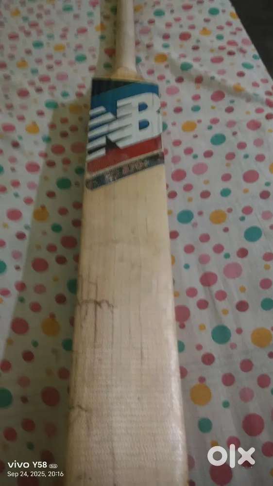 Bat for cricket