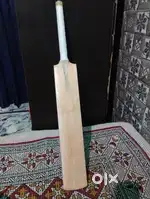 Kashmiri willow bat