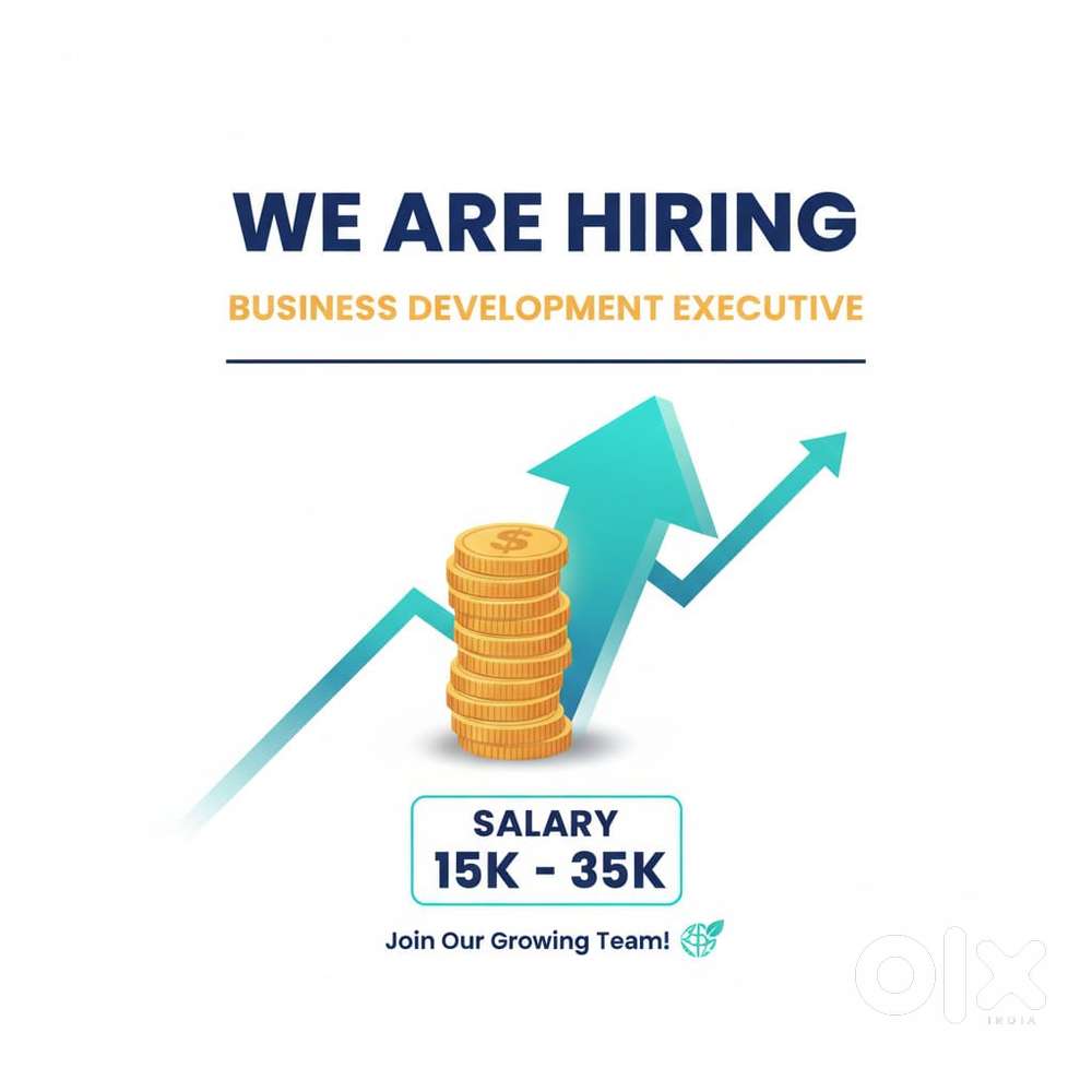 Business Development Executive