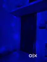 Rent house