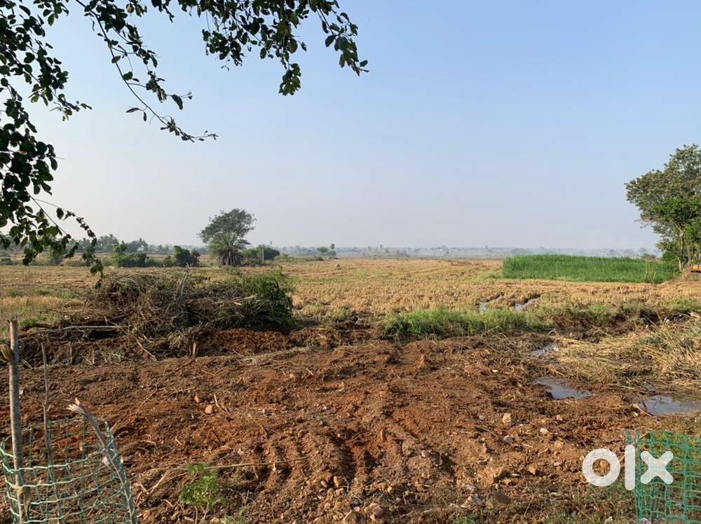 16 acres agriculture land for sale