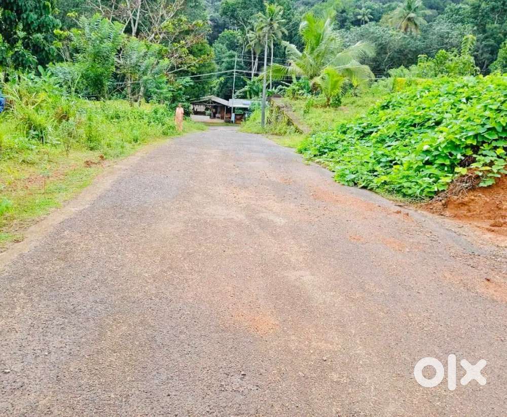 Plot for sale at Kottayam Pampady Puthupally Meenadom Moonamayil