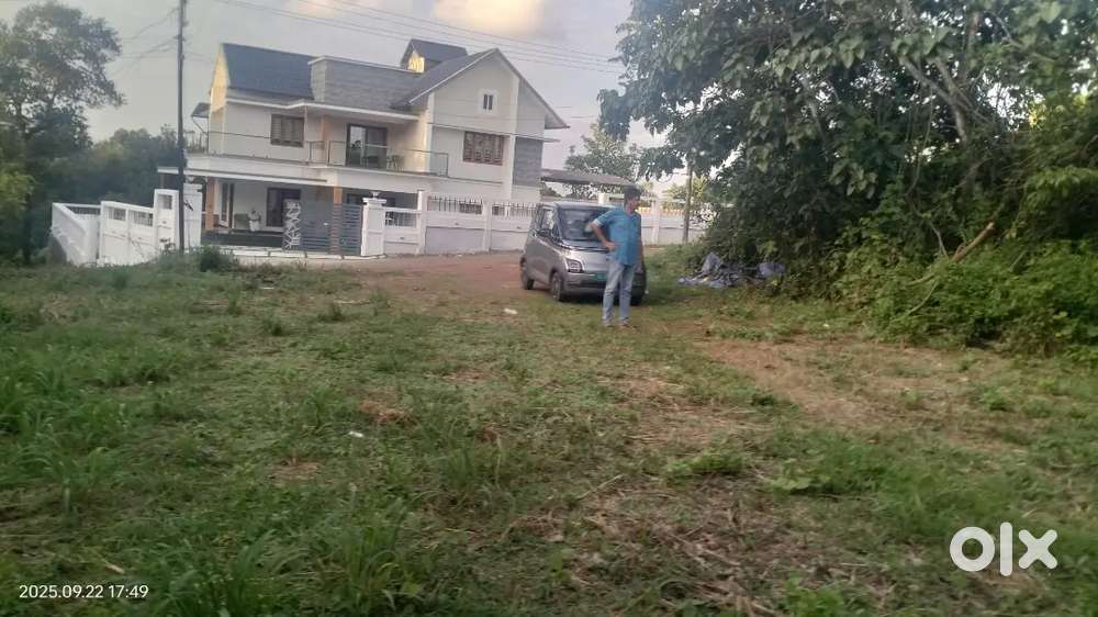 Chottanikkara panchayath road front plot for sale