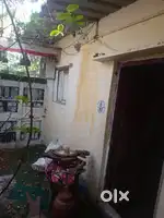 Individual house rent