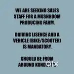 Sales person needed in a mushroom farm.