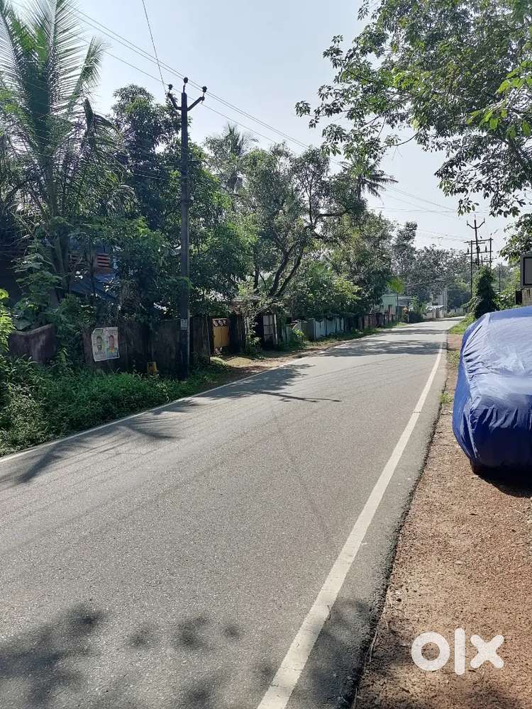 9 cent Residential/commercial plot near pangode junction