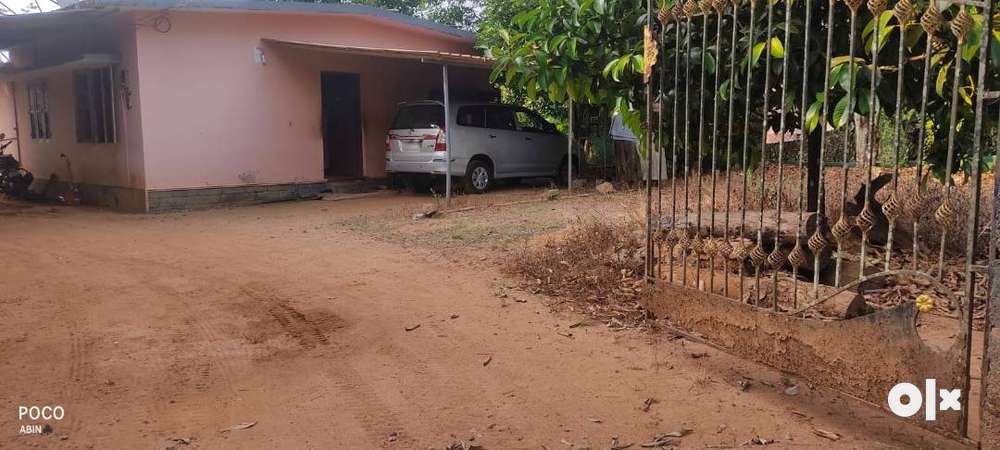 3 acre land, House and Farm Shed for sale (30,000Rs Per Cent)