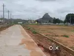 Wanna sale our plots with Affordable price