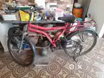 Hercules Cycle