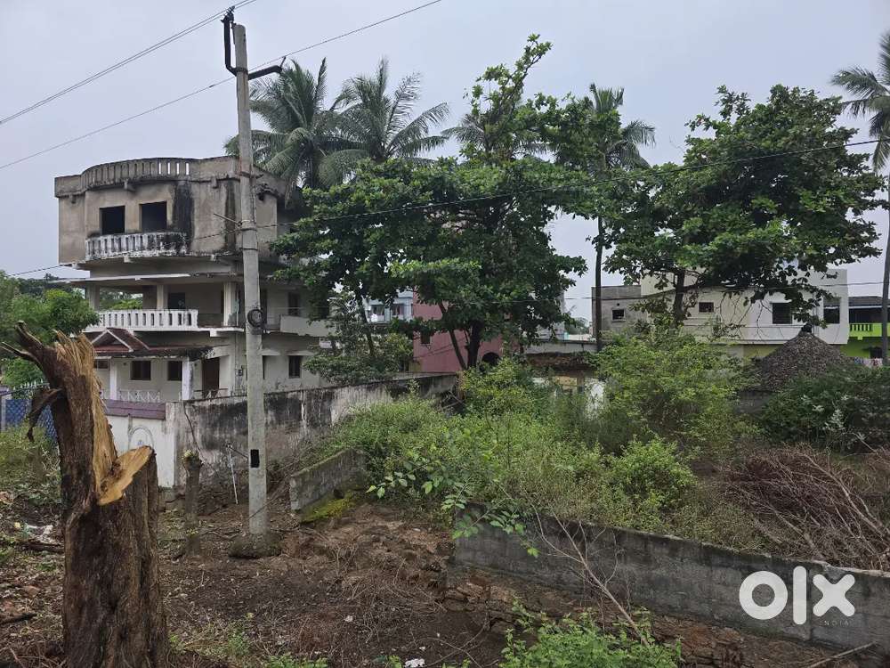 BEACH VIEW FACING LAND