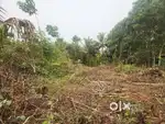 23 Cent Residencial plot Ambalapuram Athani Thrissur