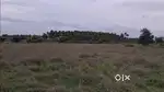 Comercial and Farming