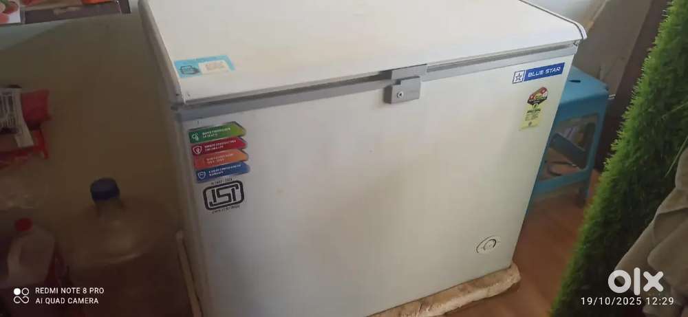 Blue star Deep Freezer