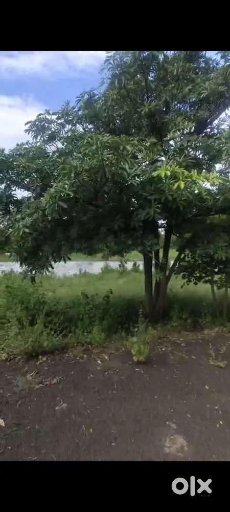 Urgent 1400Sqft RL NMRD Plot Sell