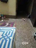 Urgently needed girls room mate