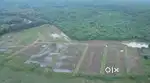 Prime plot near twine cities