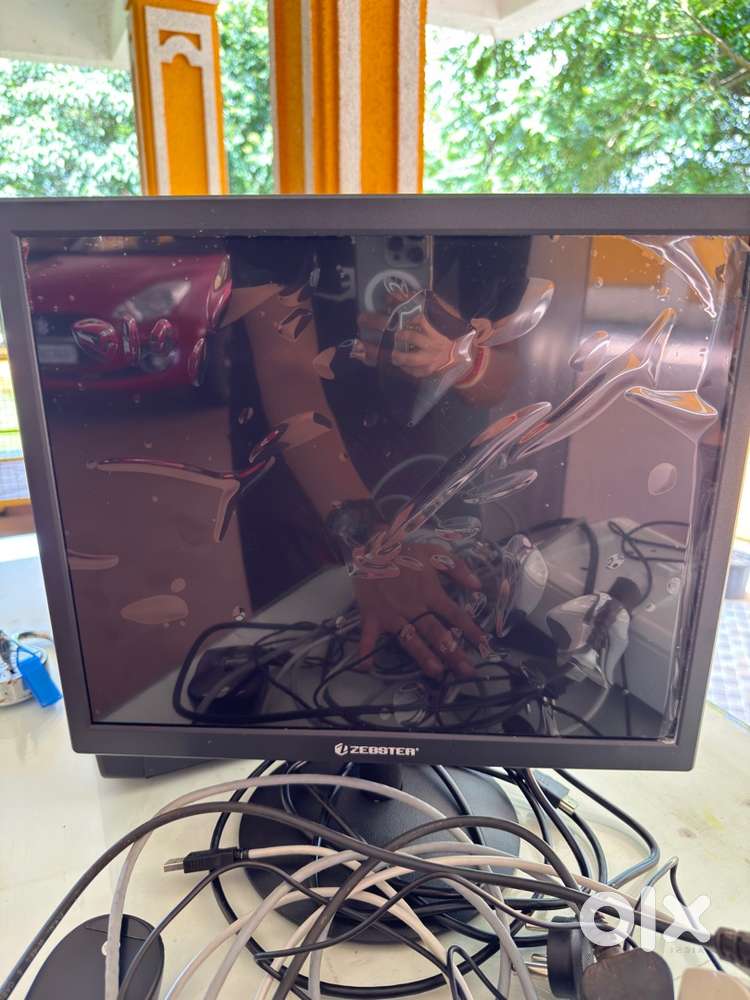 Zebster monitor