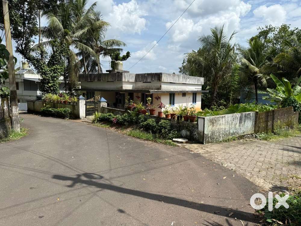 INFOPARK KAKKANAD 8 KM 13 CENT OLD HOUSE PUKKATTUPADY PAZHANGANAD