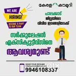 SALES EXECUTIVE