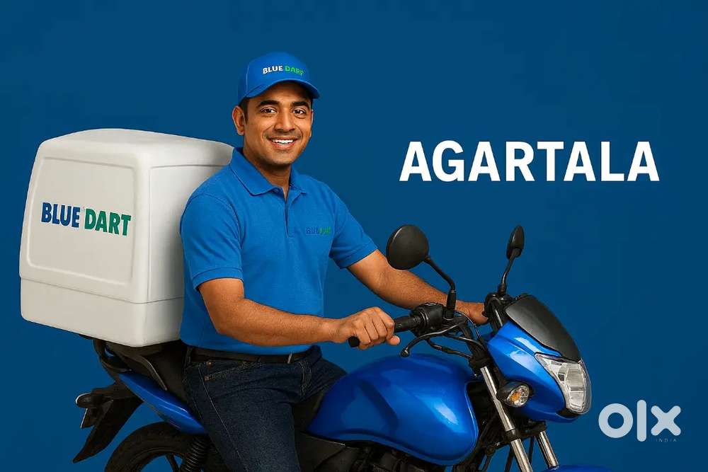 Blue Dart Delivery Boy