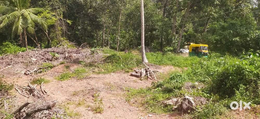 10 cent housing plot for sale.