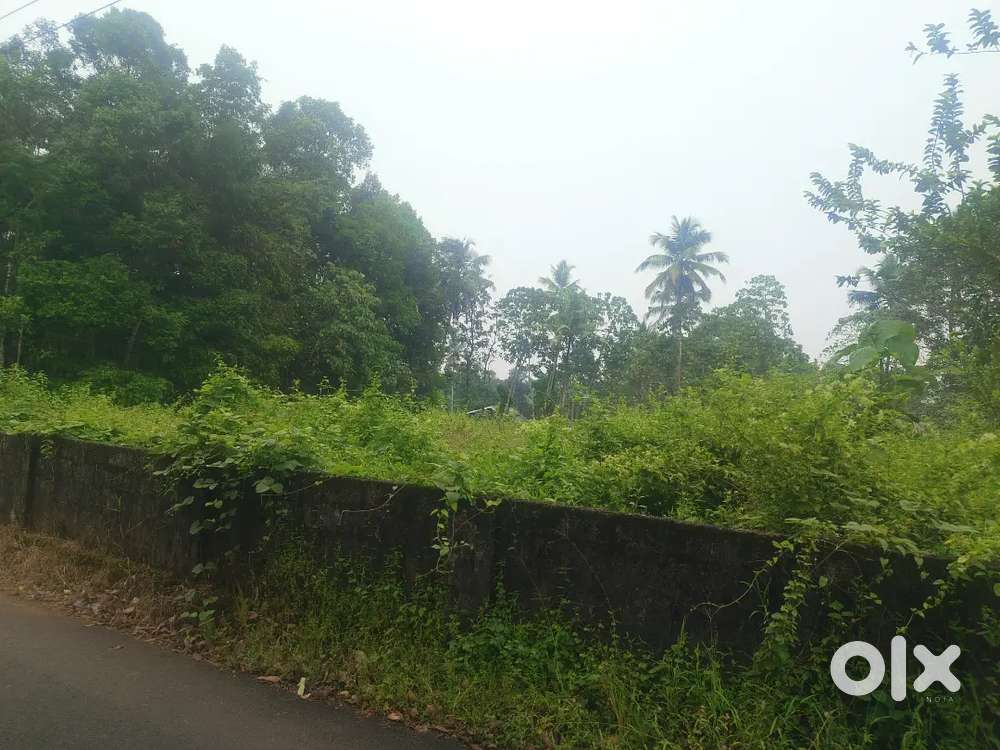 Kothamangalam കുത്തുക്കുഴി