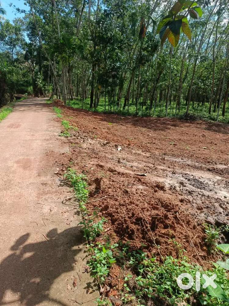 Plot for sale in Venjaramoodu