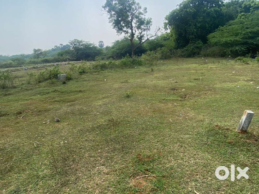 Well developed area near duvvada station