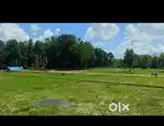 Plot for Shimla bypass road, Kalayanpur, Dehradun 11000/gaj