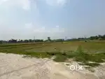 Mainaguri near Donboxco and bed college and Sent pols school