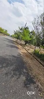PLOTS FOR SALE IN CHANDULURU   (KOTHAVALASA)