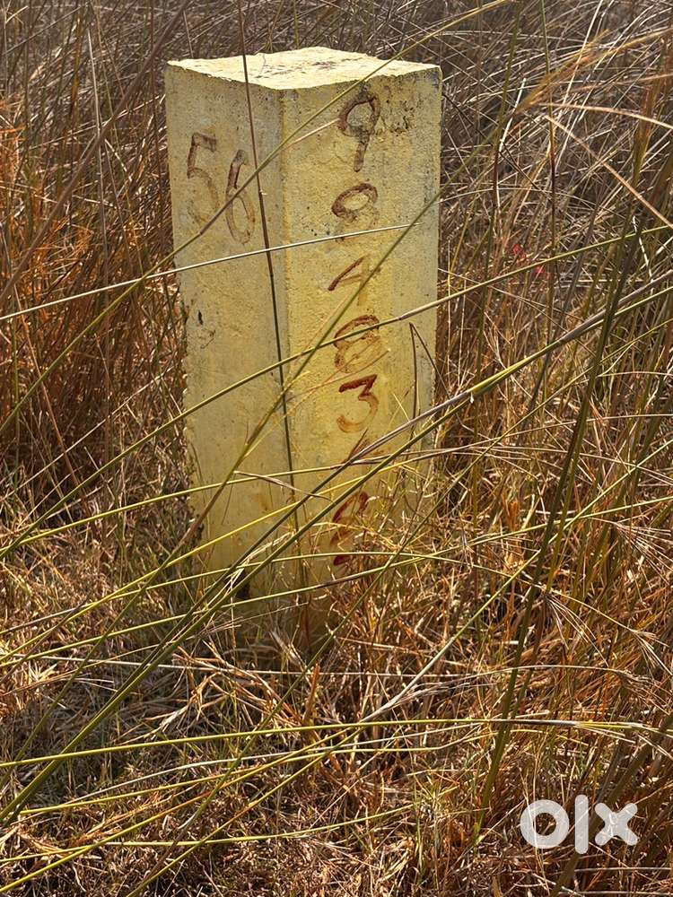 Land for Sale cheep price