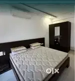 Rented house & Flat Avilable