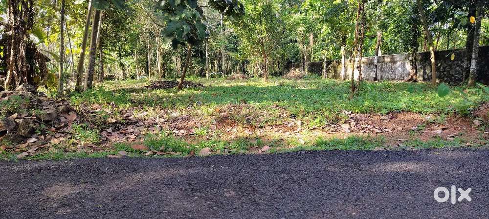 22 CENT LAND FOR SALE AT ANGAMALY PULIYANAM