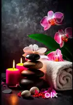 Five female therapist vecancy
