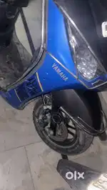 good cndion full pepar