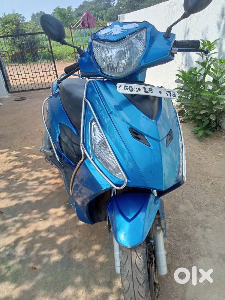 Fresh condition Scotty
