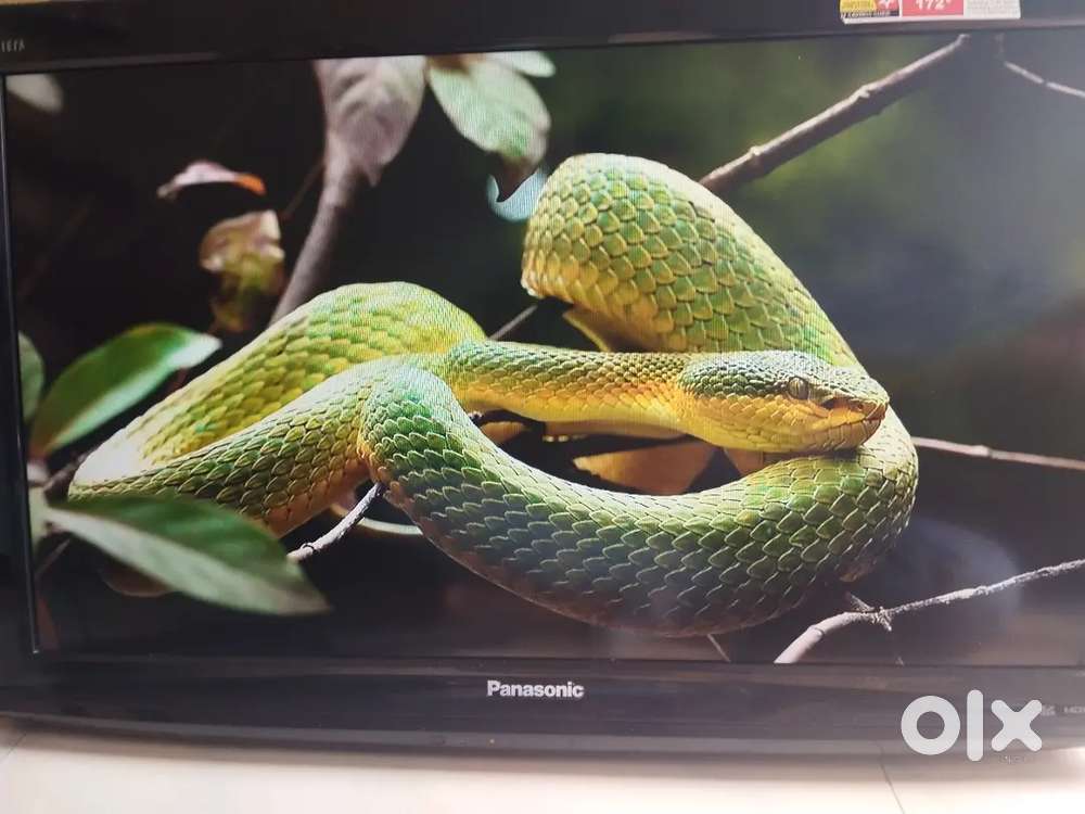 Panasonic Lcd TV. TH L32X9D2