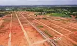 Immediate available Plotted land with 20 feet road and electricity