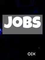 Looking for female girls for assitant work