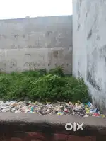 350 squire feat ka plant