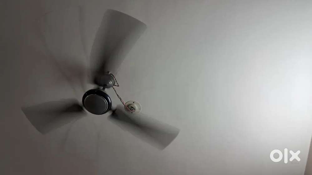 Ceiling fan