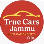 Customer Relationship Executive (M/F) – True Cars Jammu