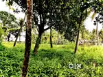 An 80 cent commercial land for sale in kaniyapuram