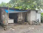 2 Gala hai 800 Sqft