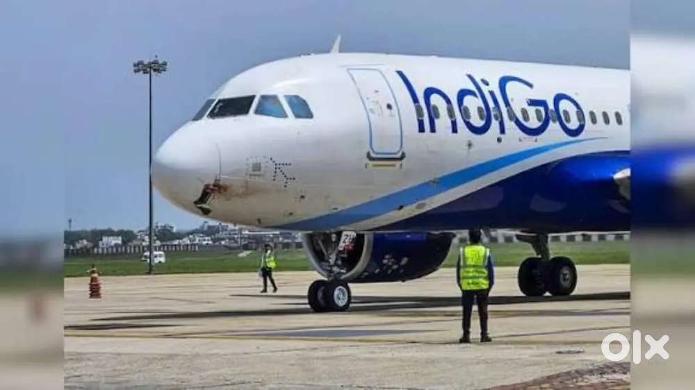 Urgent requirements for ground staff job in indigo airline