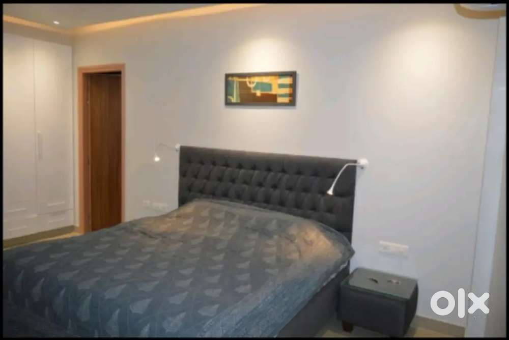 We have 1 bhk 2 bhk 3 bhk luxurious properties available