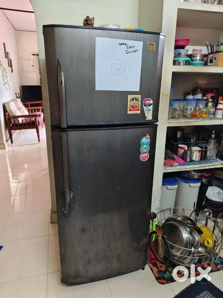 Godrej eon frost free double door (250 liters)
